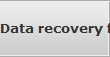 Data recovery for New York City data